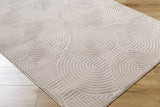 Aucoin Taupe 3D Rainbow Washable Area Rug