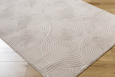 Aucoin Taupe Rainbow Washable Area Rug