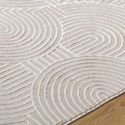 Aucoin Taupe Rainbow Washable Area Rug