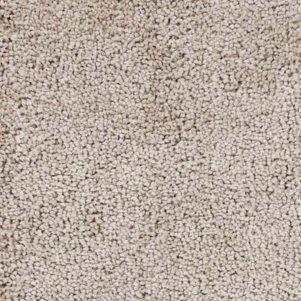 Sample Wakeeney Beige Shag Rug - Clearance