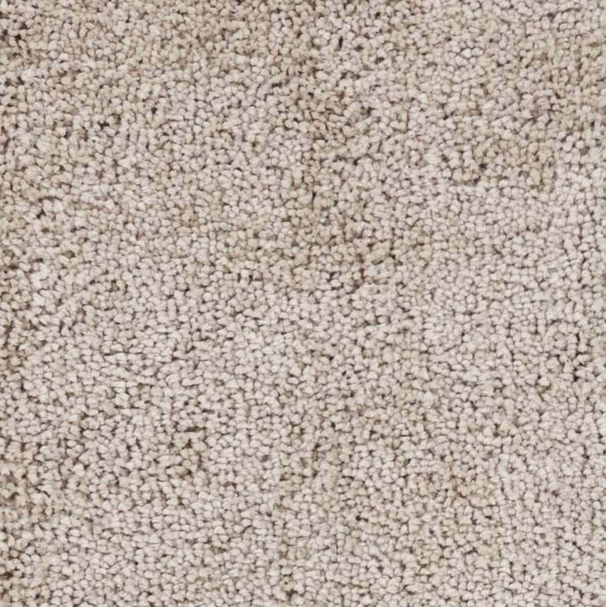 Sample Wakeeney Beige Shag Rug - Clearance