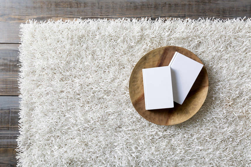 Close-up of Browder Solid Beige Shag Area Rug showing its plush texture and color. Books on a wood plate sit on the rug. Styleshot