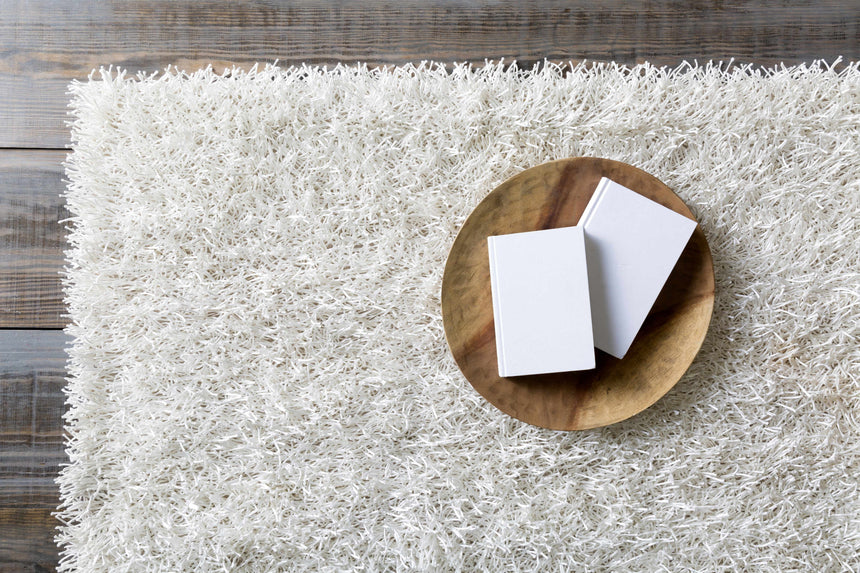 Browder Solid Beige Shag Area Rug - Clearance