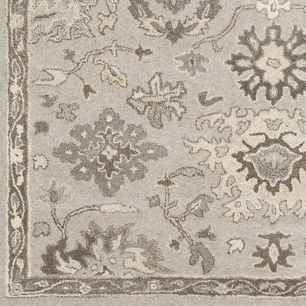 Sample Willimantic Area Rug