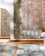 Dunmor Area Rug display: Brick red, charcoal, and cream Persian-style rugs hanging on a white wall above a light wood floor. Styleshot
