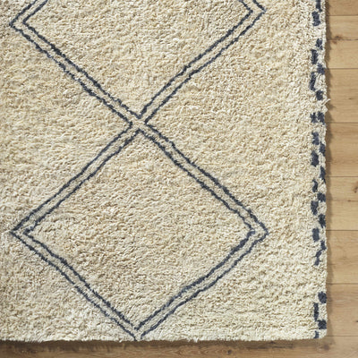 Audrey Area Rug