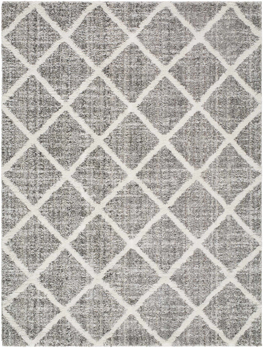 Close-up of the Anuhea Light Gray Area Rug featuring a farmhouse style diamond pattern. Design-Rectangle-576