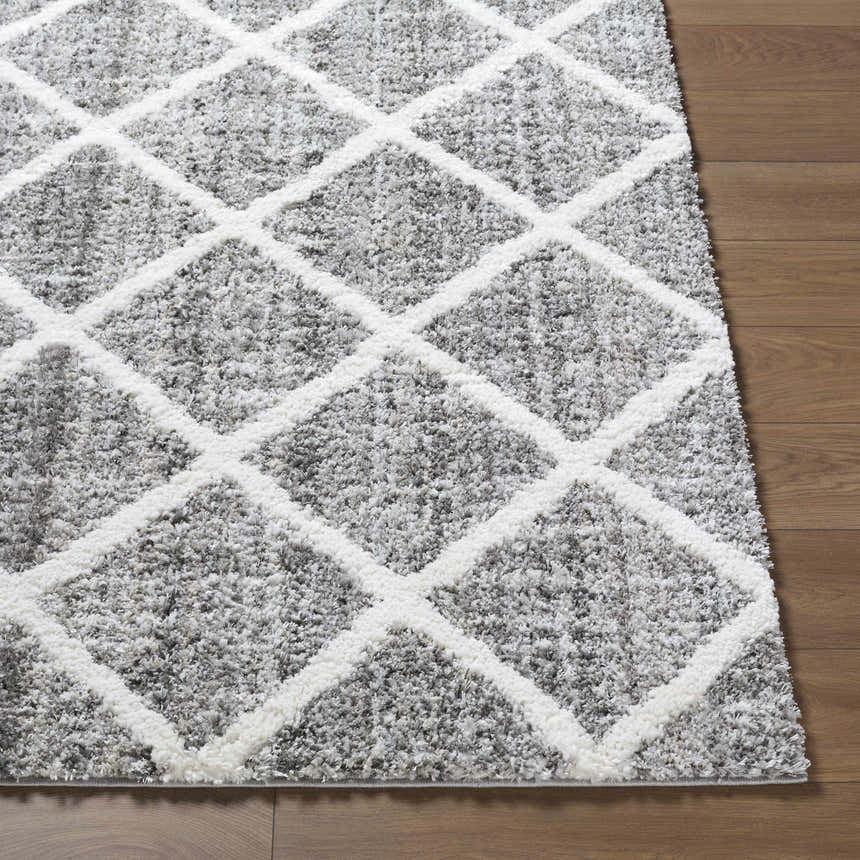 Close-up of the Anuhea Light Gray Area Rug, featuring a plush pile and a white geometric diamond pattern. Front
