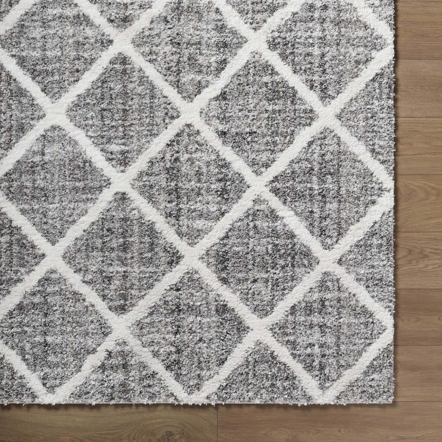 Close up of the Anuhea Light Gray Area Rug showing diamond pattern and soft texture. Corner
