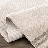 Apichu Gray Washable Area Rug