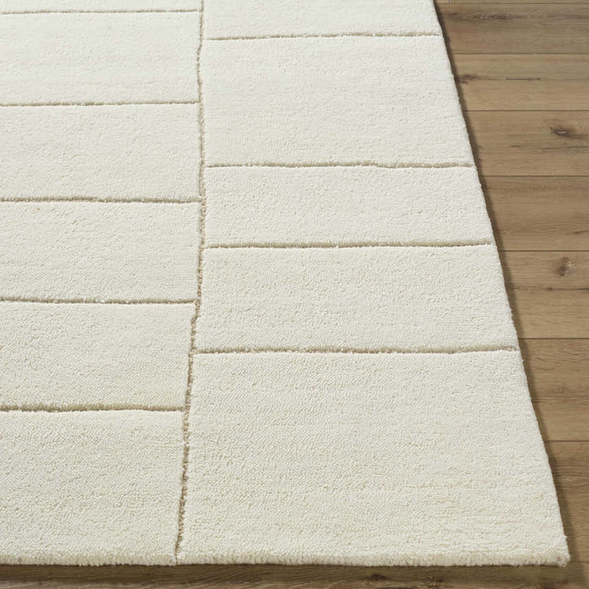 Close-up of the hand-tufted Xylia Beige Area Rug. Light silver and off-white wool rug with a contemporary block pattern. Front