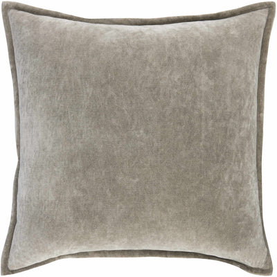 Adeben Throw Pillow