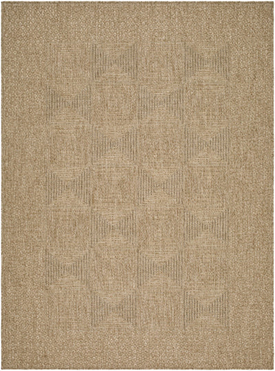 Anabia Brown Area Rug