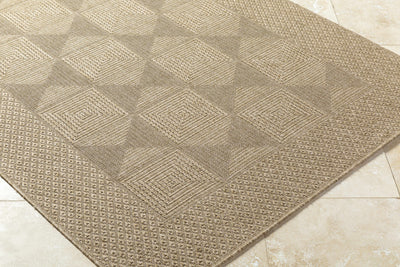 Anabia Brown Area Rug