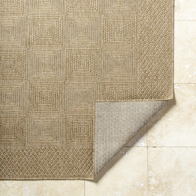 Anabia Brown Area Rug