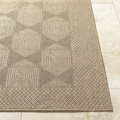 Anabia Brown Area Rug