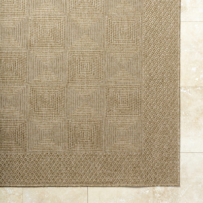 Anabia Brown Area Rug