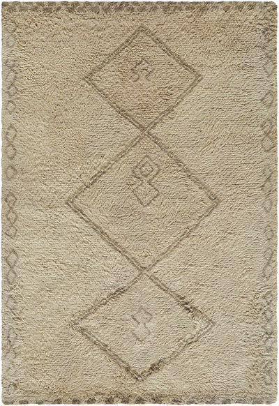 Yurem Area Rug