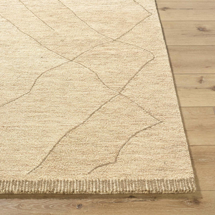 Close-up of the hand-tufted Addien Area Rug. Farmhouse style, 100% wool rug with geometric pattern and textured weave. Front