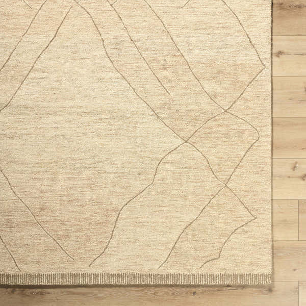 Sample Addien Area Rug