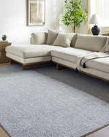 Sample Zareh Blue Solid Area Rug - Clearance