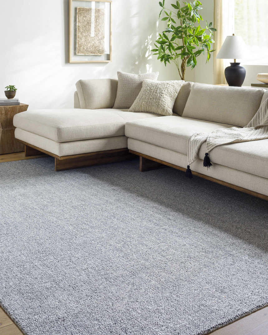 Sample Zareh Blue Solid Area Rug - Clearance