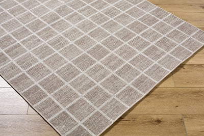 Anicet Checkered Wool Washable Area Rug