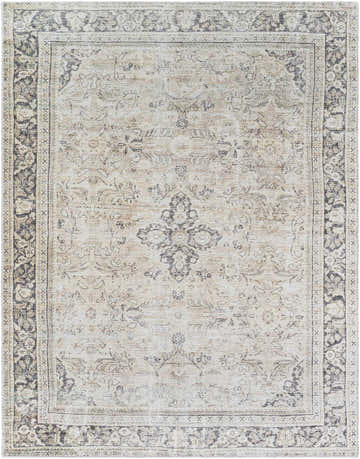 Close-up of the Zeger Washable Area Rug, featuring a traditional floral pattern in light silver, tan, and silver gray tones. Design-Rectangle