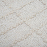Rizzy A07216 Area Rug
