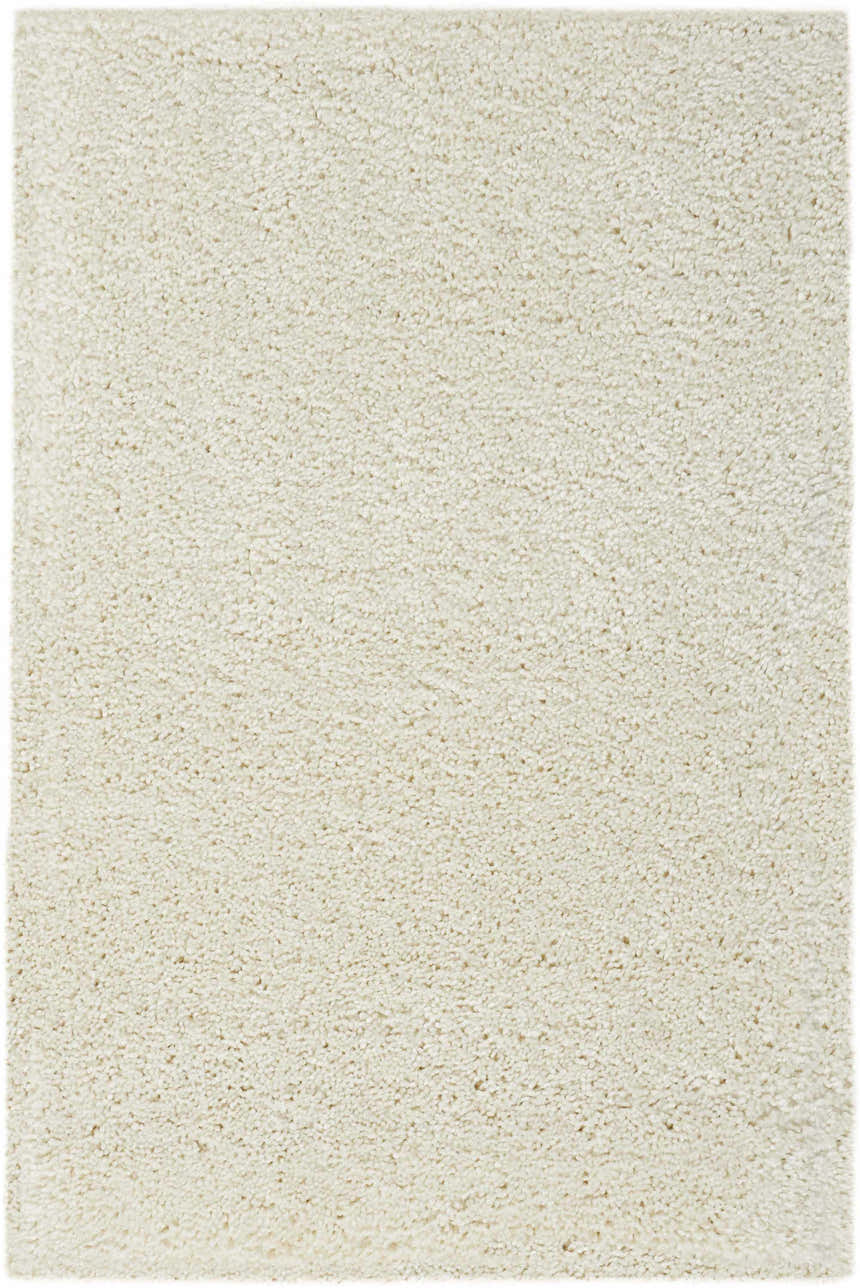Close-up of the ivory Nourison Malibu Shag rug showing its plush, soft texture and shag design.