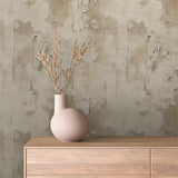 Faded Tuscan Plaster Wall