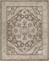 Detailed texture of the Dozea Taupe Medallion area rug with charcoal, gray, olive, and taupe colors. Design-Rectangle-710102