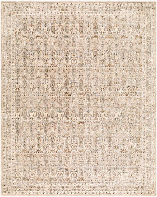 Sample Jizu Gray Persian Area Rug