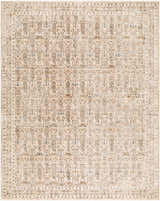 Detailed texture of the Dexui Gray Persian Area Rug, a machine-woven polyester rug with light brown, gray, and olive tones. Design-Rectangle-710102
