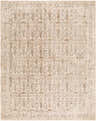 Detailed texture of the Dexui Gray Persian Area Rug, a machine-woven polyester rug with light brown, gray, and olive tones. Design-Rectangle-710102