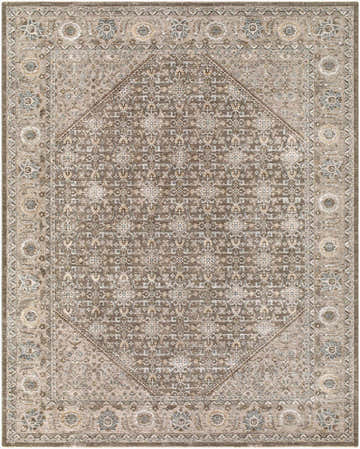Detailed close-up of the Nihe Charcoal Medallion rug, showcasing the traditional floral pattern and dark brown, taupe, and olive color palette. Design-Rectangle-710102