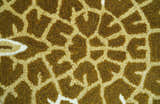 Animal Giraffe Brown Hand Tufted 3x5 Wool Area Rug