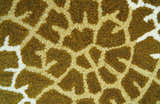 Animal Giraffe Brown Hand Tufted 3x5 Wool Area Rug