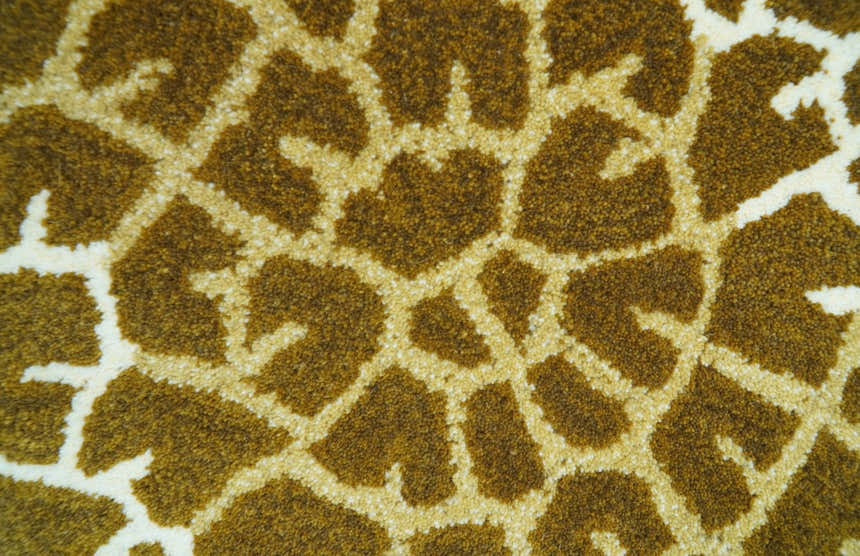 Animal Giraffe Brown Hand Tufted 3x5 Wool Area Rug