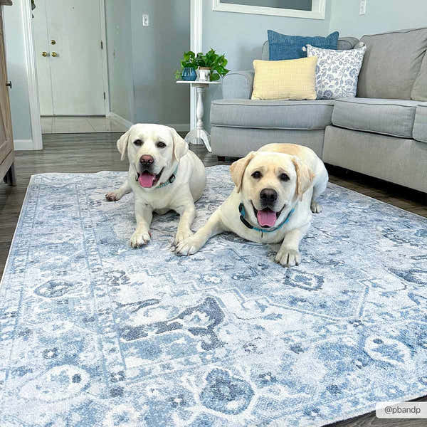 Sample Ankti Blue Washable Area Rug - Clearance