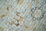 Antique look Aqua, Gold and Charcoal Hand Knotted Carved Texture Traditional Oriental Oushak 8x10 wool Area Rug
