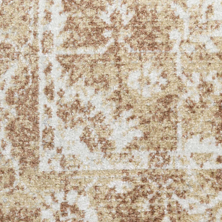 Close-up of the Nourison Astra Rust Vintage Rug. Shows texture and pattern of rust and beige on white.