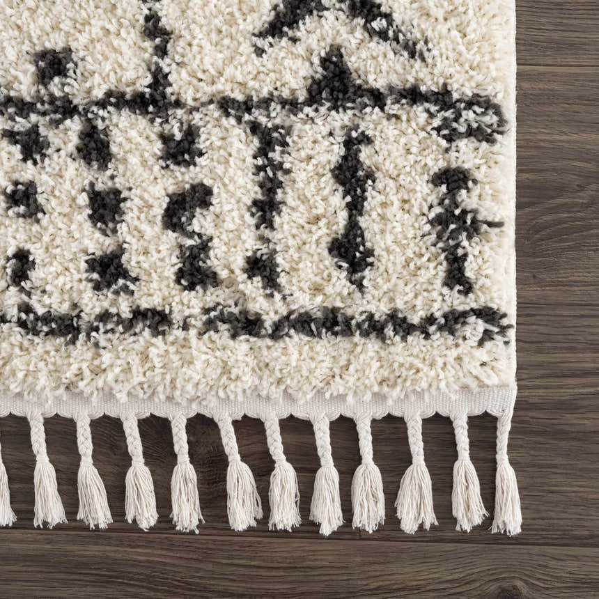 Sample Hauppauge Berber Shag Carpet