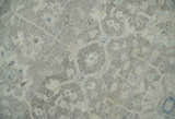 Beige and Silver Custom Made Antique Style Distressed Finished Low Pile wool Area Rug