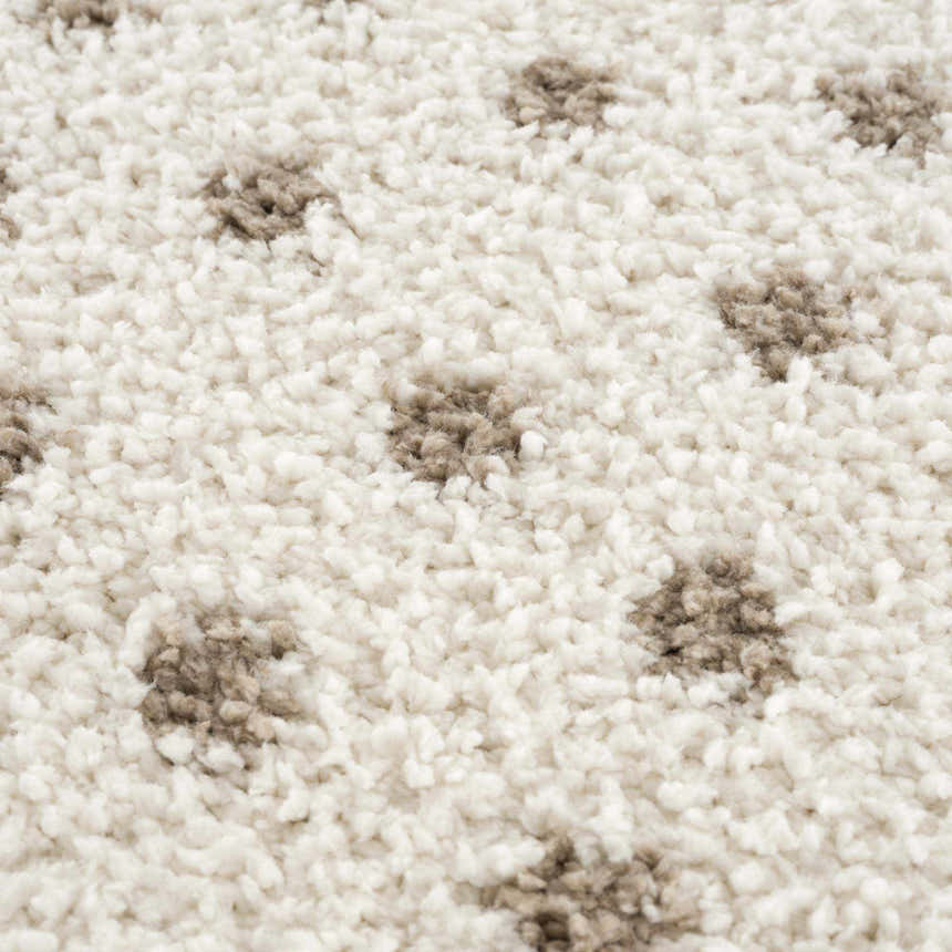 Texture