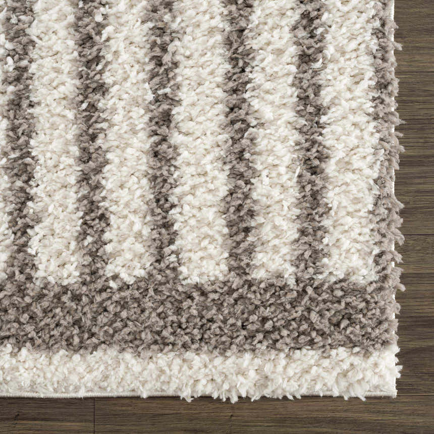 Sample Jola Taupe Area Rug