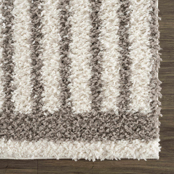 Sample Jola Taupe Area Rug