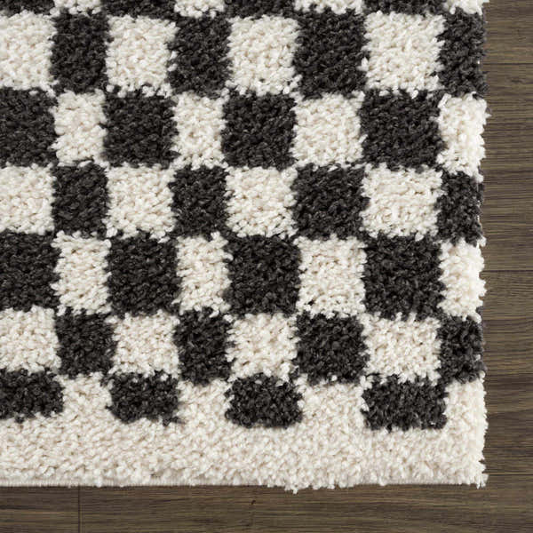 Sample Kieu Black & White Checkered Area Rug