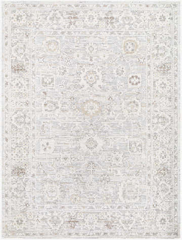 Close-up of Carmela Machine Woven Becki Owens x LIVABLISS BOCM-2301 Area Rug. Beige, ivory, and brown traditional pattern. Design-Rectangle-537