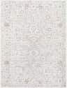Close-up of Carmela Machine Woven Becki Owens x LIVABLISS BOCM-2301 Area Rug. Beige, ivory, and brown traditional pattern. Design-Rectangle-537